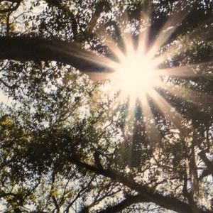 Meet your Posher, Gigi